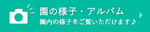 園の様子・アルバム